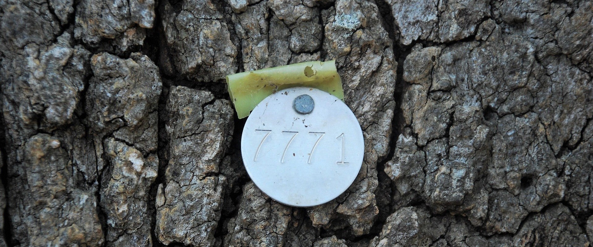 Enhance Your Brand with Professional Digital Services